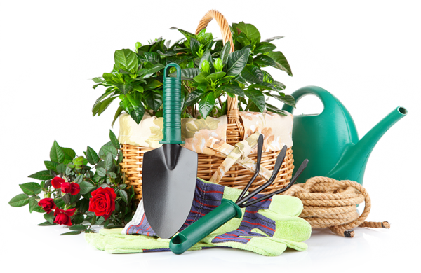 Gardening and Accessories